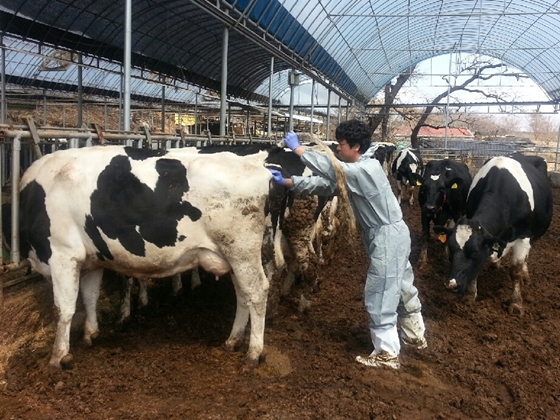 충남데일리벳 커뮤니티