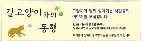 길고양이와의동행