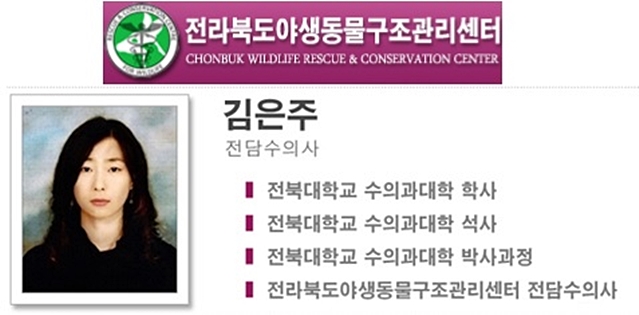 김은주데일리벳 베팅