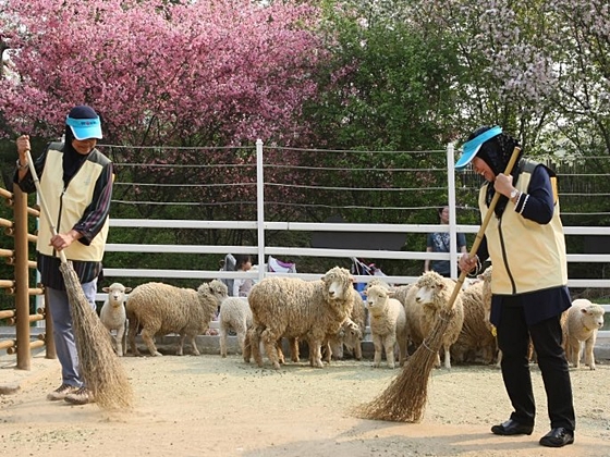 데일리벳 슬롯 사이트말레이시아2
