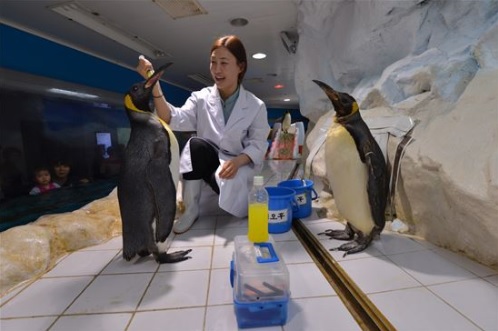 해양위클리벳건강검진-한화