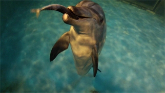 130509데일리벳 베팅