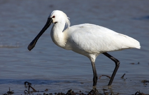 130516데일리벳 카지노 사이트