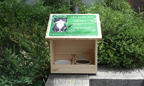 130531강동구급식소2