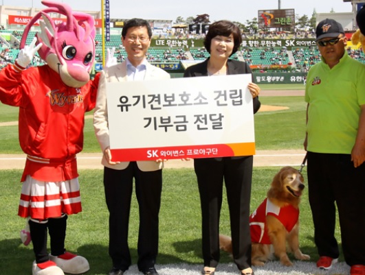 sk도그데이유기견