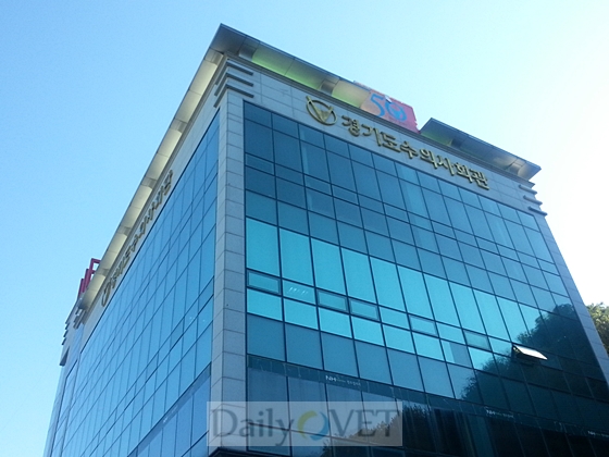 경기도데일리벳건물