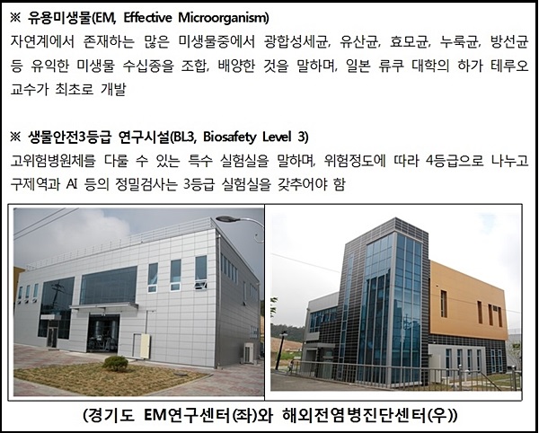 우리 데일리벳EM과BL3