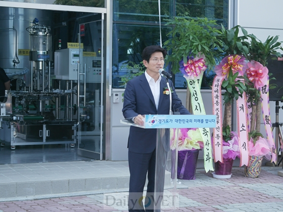 김문수-우리 데일리벳개장식