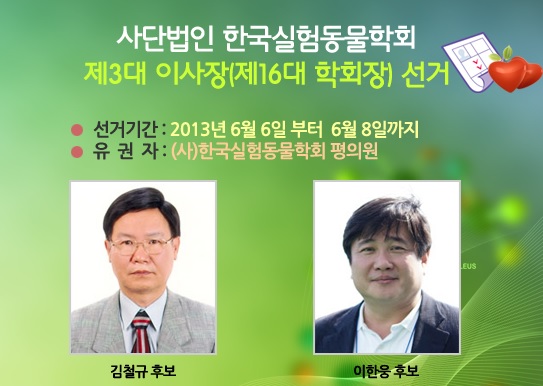 김철규-한국데일리벳 주소