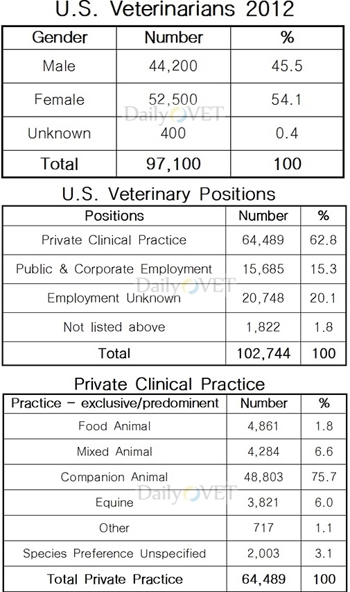 미국데일리벳 도박 통계