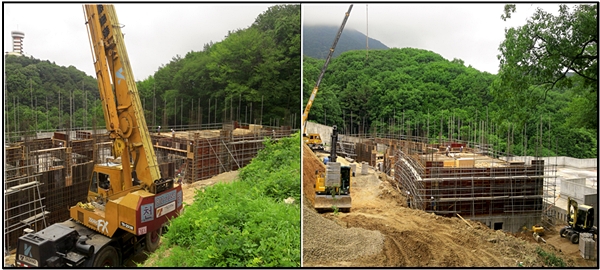 부산데일리벳 사이트원-더 파크