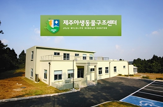 제주야생데일리벳 주소구조센터