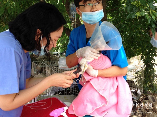 카라의료봉사단