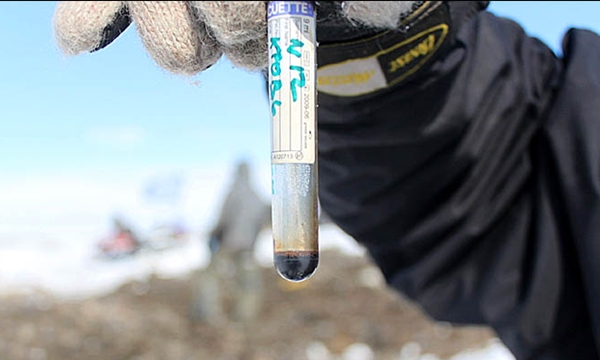 130603데일리벳 사이트2