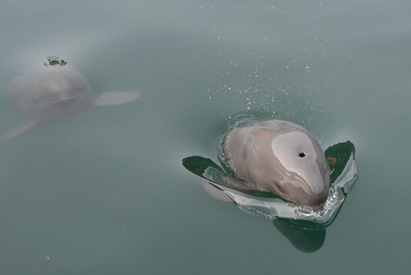 데일리벳 도박방류_누리마루
