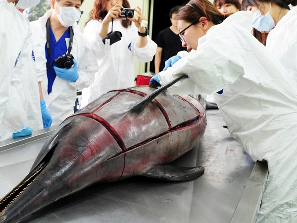 이영란데일리벳 카지노 사이트님-부검