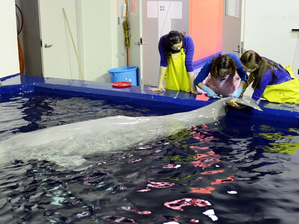 이영란데일리벳 카지노 사이트님-채혈