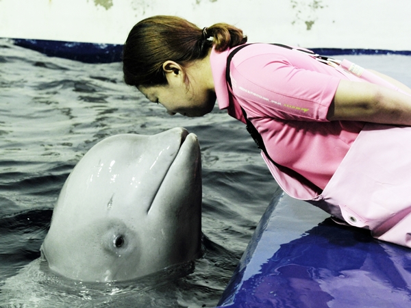 이영란데일리벳 카지노 사이트님_고래연구소