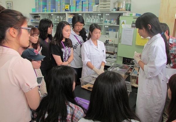 130702제주실험벳플레이스캠프