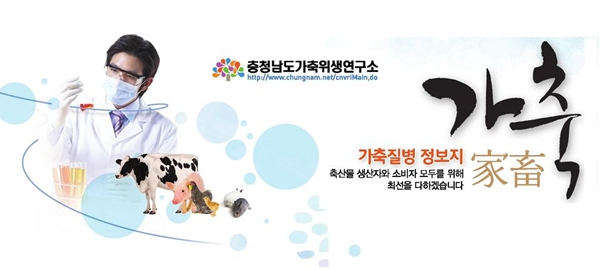 130704충남데일리벳 주소