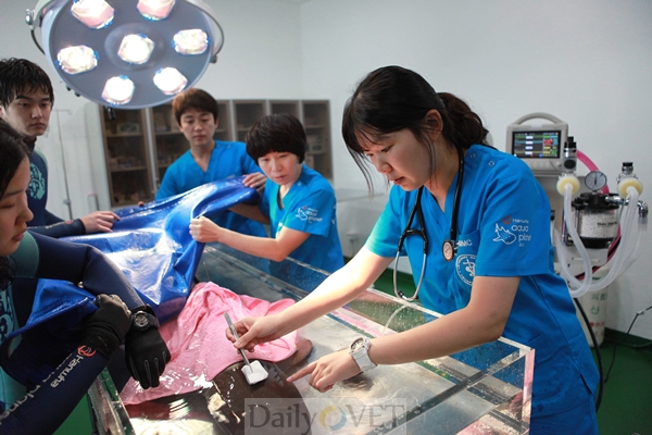 130705해양메디컬데일리벳 추천1