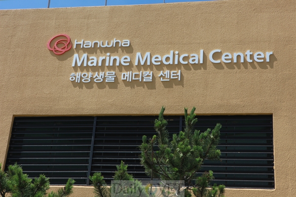 130705해양메디컬데일리벳 추천3