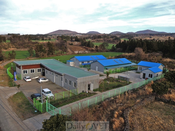 130717제주유기데일리벳센터