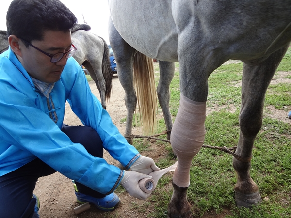 2013전북대봉사활동8