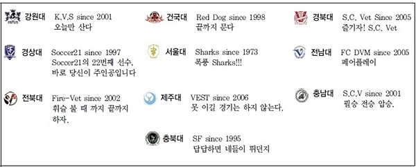 V리그-10개데일리벳 베팅대팀