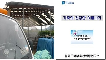 데일리벳 주소북부축산위생연구소_여름활동