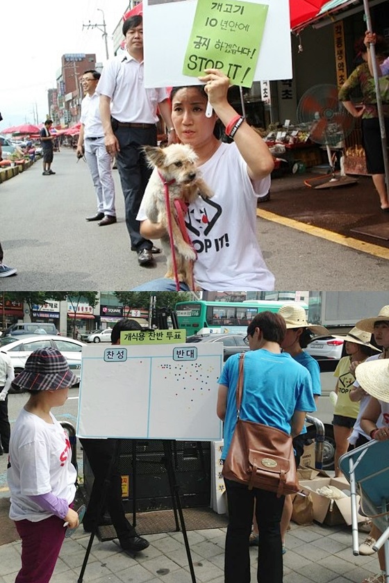 데일리벳 포럼사랑실천협회_2013말복캠페인