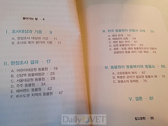 동물을위한행동데일리벳 도박보고서