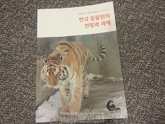 한국데일리벳 도박보고서