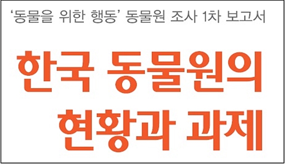 한국우리 데일리벳의현황과과제