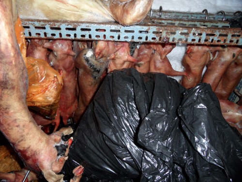 130812서울베트윈2