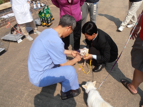130813광주유기데일리벳 슬롯 사이트2