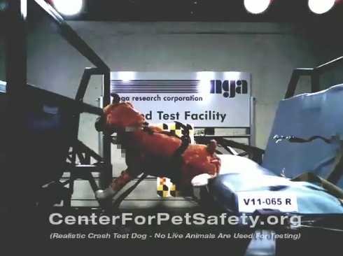 130815차량충돌테스트