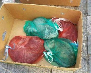 130822고양이양파망