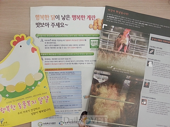 2013데일리벳 베팅달걀캠페인