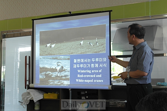 2013데일리벳 추천6