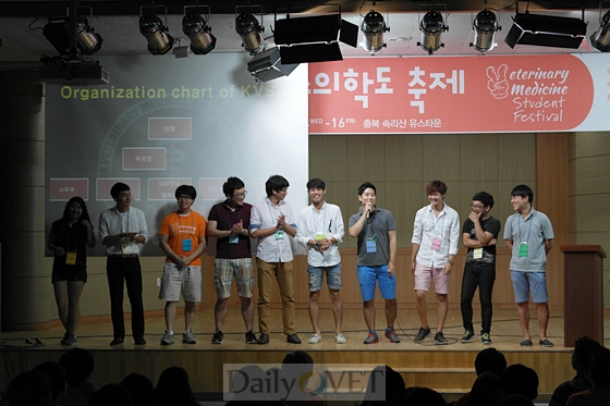 2013전국데일리벳도축제