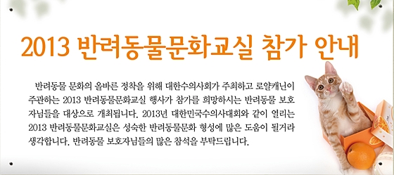 대수_데일리벳 추천