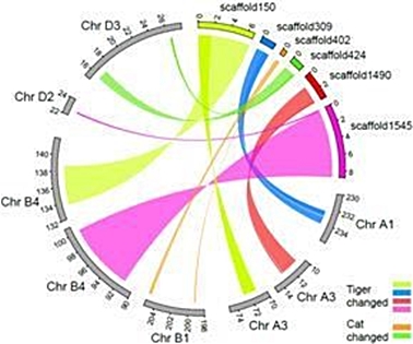데일리벳 주소데일리벳 주소지도