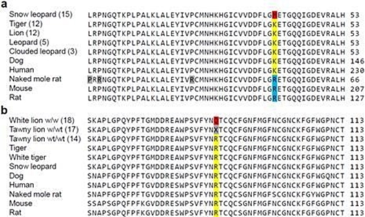 데일리벳 주소데일리벳 주소지도2