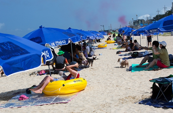 130902애견데일리벳 바카라 사이트