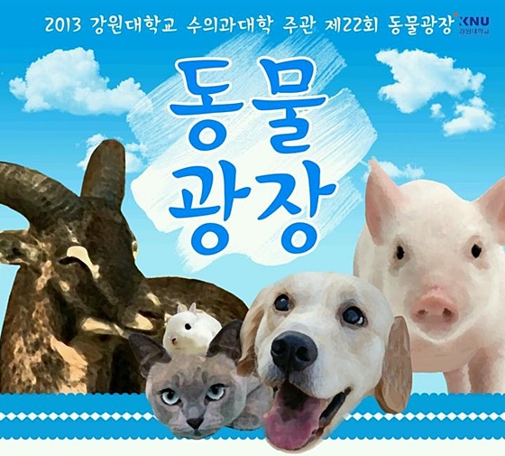 2013강원대위클리벳광장