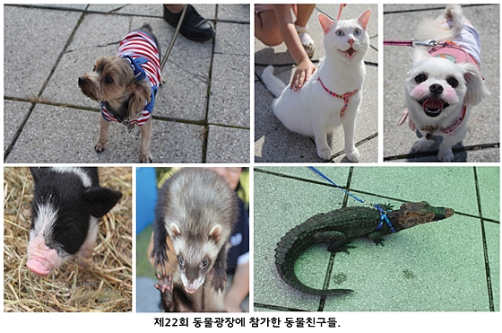 2013강원대데일리벳 슬롯 사이트광장2