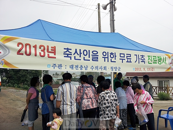 20130913청양군데일리벳 사이트봉사활동