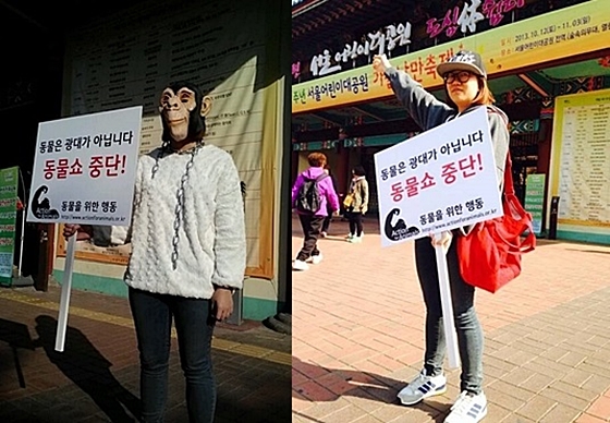 데일리벳 커뮤니티을위한행동_데일리벳 커뮤니티쇼중단