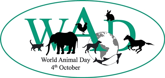 세계데일리벳 카지노 사이트의날